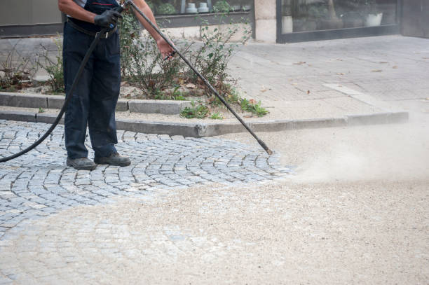 Best Animal Enclosure Cleaning  in Elmwood, IL