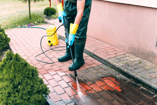 Best Parking Lot and Garage Cleaning  in Elmwood, IL