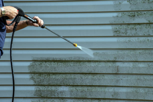 Best Paint Preparation  in Elmwood, IL