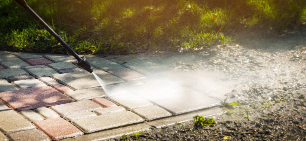 Best Spring Cleaning  in Elmwood, IL
