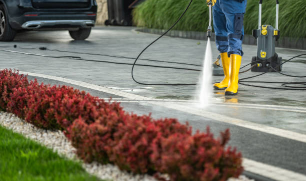 Best Building Exterior Washing  in Elmwood, IL