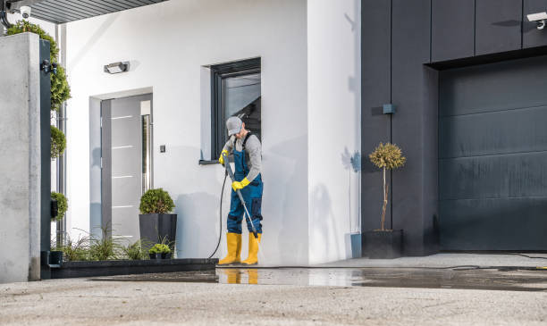 Best Roof Washing  in Elmwood, IL